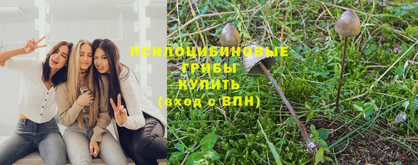 хмурый Абаза