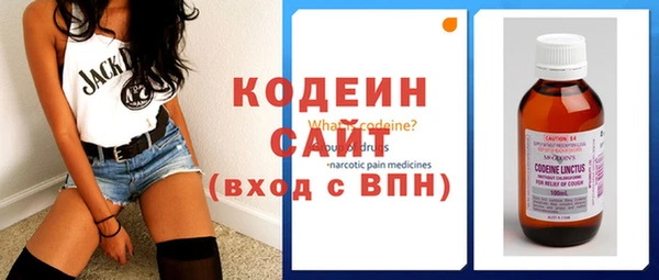 хмурый Абаза