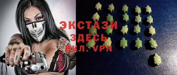 хмурый Абаза