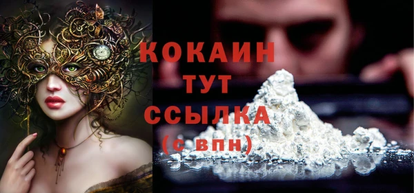 хмурый Абаза