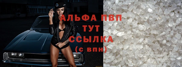 хмурый Абаза