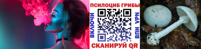 Псилоцибиновые грибы ЛСД  кракен зеркало  Усмань 